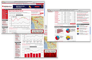 Realestate.com.au Suburb Profiles - information & interaction design; 2009