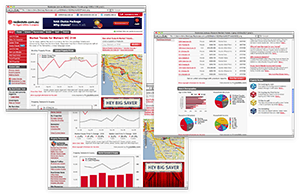 Realestate.com.au Suburb Profiles - information & interaction design, 2009